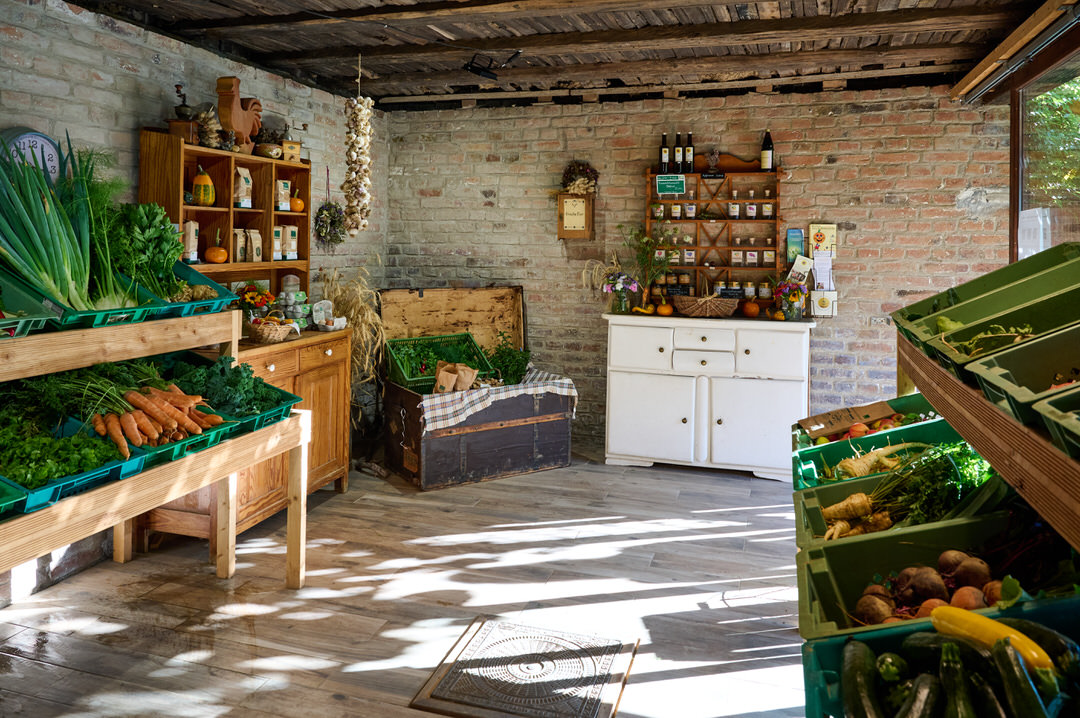 Umbruch-der-Bauer-Michel-2023 5 Hofladen Bioland Hof Leister, Bad Homburg Gonzenheim